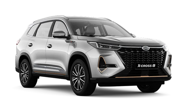 X-Cross 8